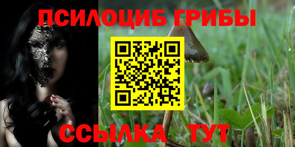 Псилоцибиновые грибы GOLDEN TEACHER Барнаул